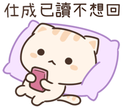 194840517
