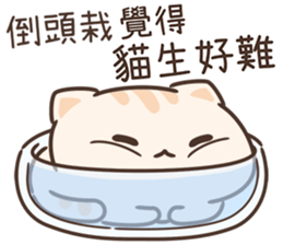 194864050