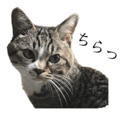 194872262