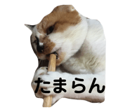194875767