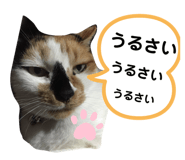 194875771