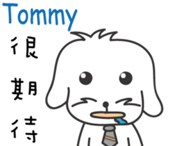 194955355