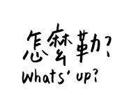 195023739