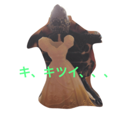 19504702