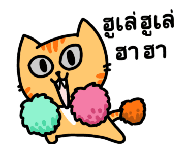 The cat's slave Sinko แมวกวนจากไต้หวัน รูปที่ 2