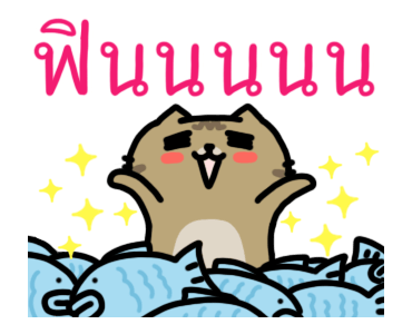 The cat's slave Sinko แมวกวนจากไต้หวัน รูปที่ 3