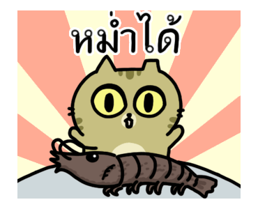 The cat's slave Sinko แมวกวนจากไต้หวัน รูปที่ 7