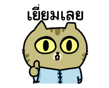 The cat's slave Sinko แมวกวนจากไต้หวัน รูปที่ 13