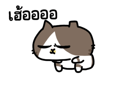 The cat's slave Sinko แมวกวนจากไต้หวัน รูปที่ 16