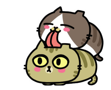 The cat's slave Sinko แมวกวนจากไต้หวัน รูปที่ 19