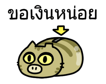The cat's slave Sinko แมวกวนจากไต้หวัน รูปที่ 22