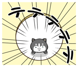 195531252