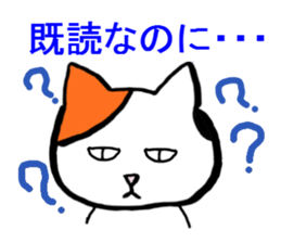 1955557