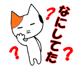 1955558