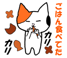 1955565