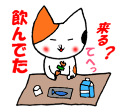 1955577