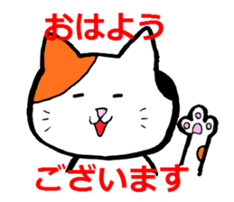 1955590