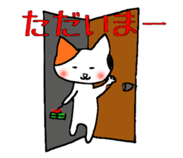 1955594