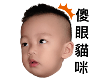 195816234