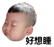 195816242