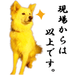19595515