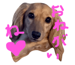 19598765