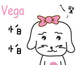 196014509