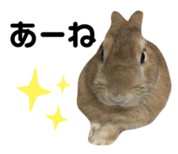 196127103