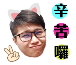 196222217