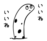 196252750