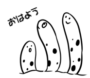 196252752