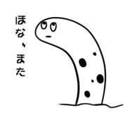 196252772