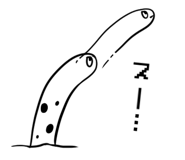 196252780
