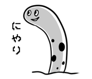 196252783