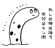 196252787