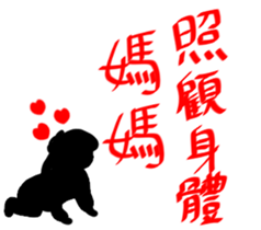 19647433
