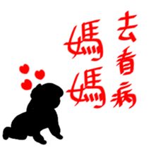 19647434