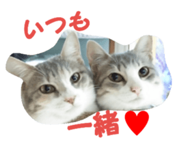 19659938