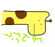 19704037