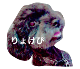19720360