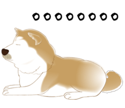 19745439