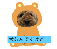197639569