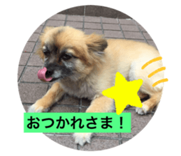197679461