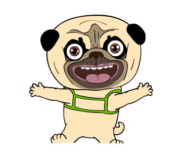 ลายที่ 13