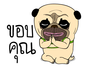 ลายที่ 23