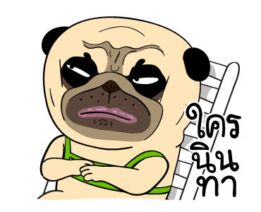 ลายที่ 27