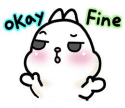 19795507