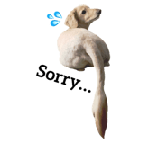 19824442