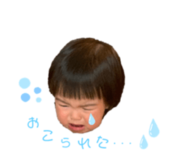 198246486