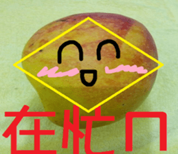 198263532
